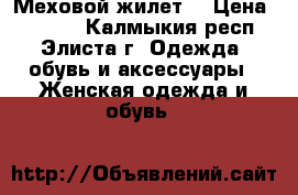 Меховой жилет  › Цена ­ 3 600 - Калмыкия респ., Элиста г. Одежда, обувь и аксессуары » Женская одежда и обувь   